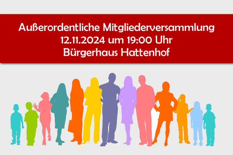 Außerordentliche Mitgliederversammlung